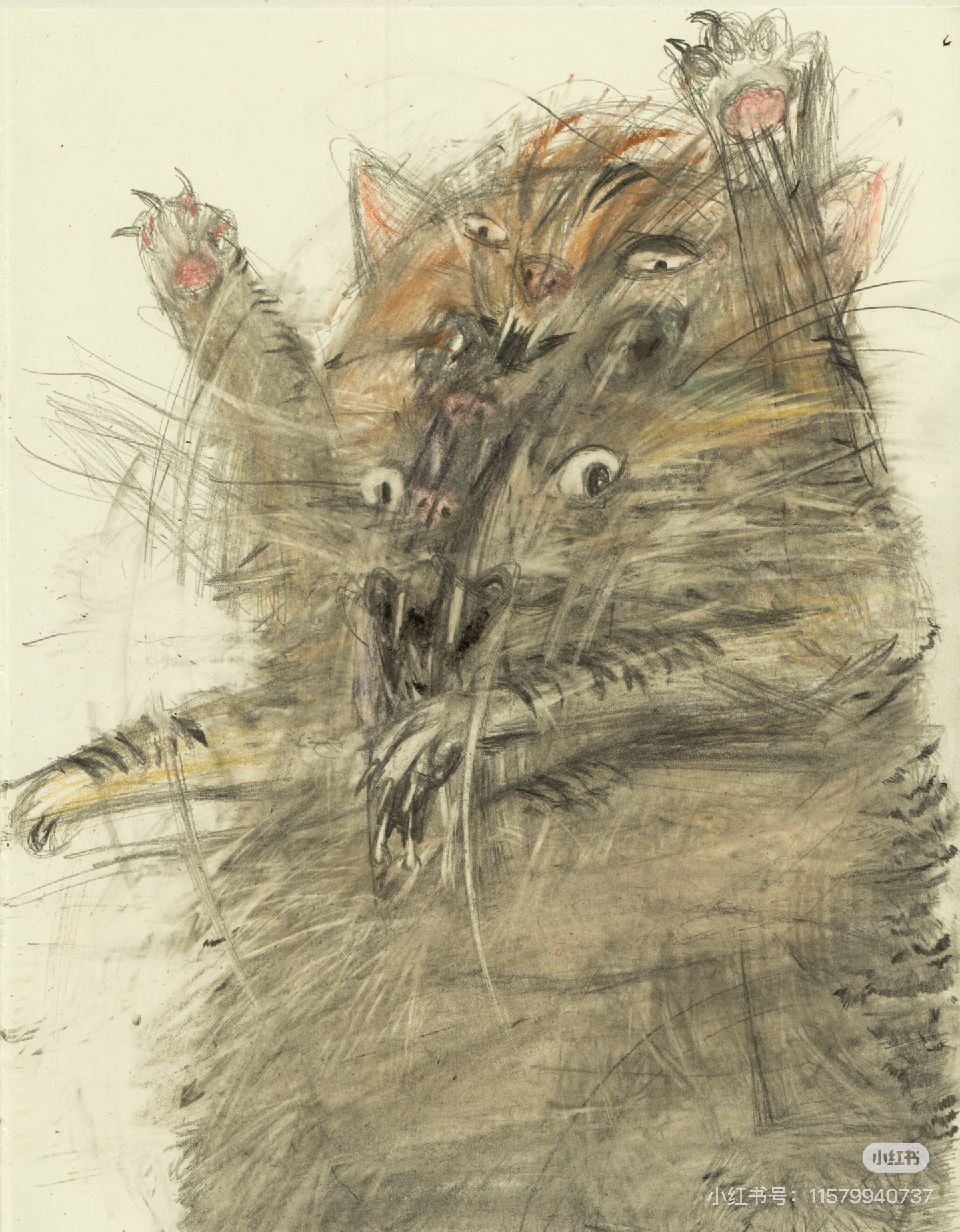 Leo Forest的猫咪争斗插画