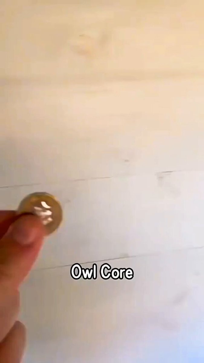 治愈系猫头鹰合集