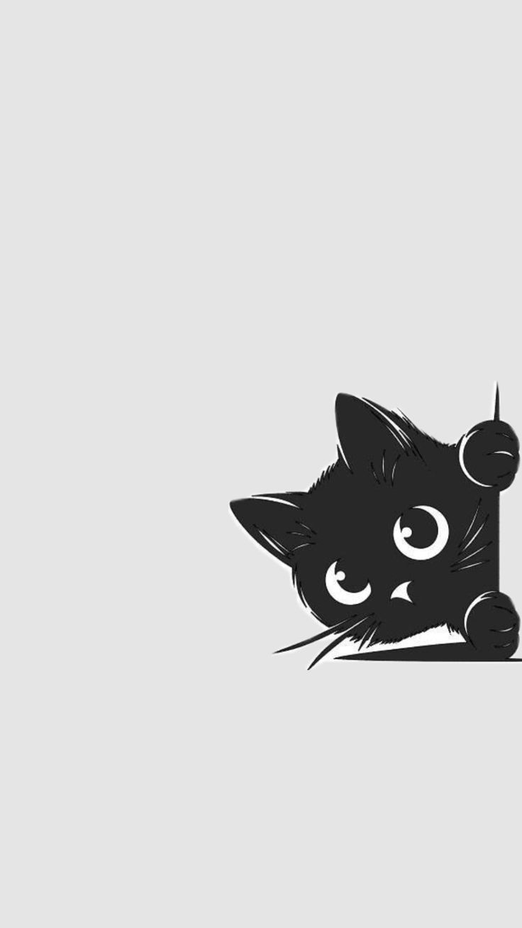 偷看小黑猫