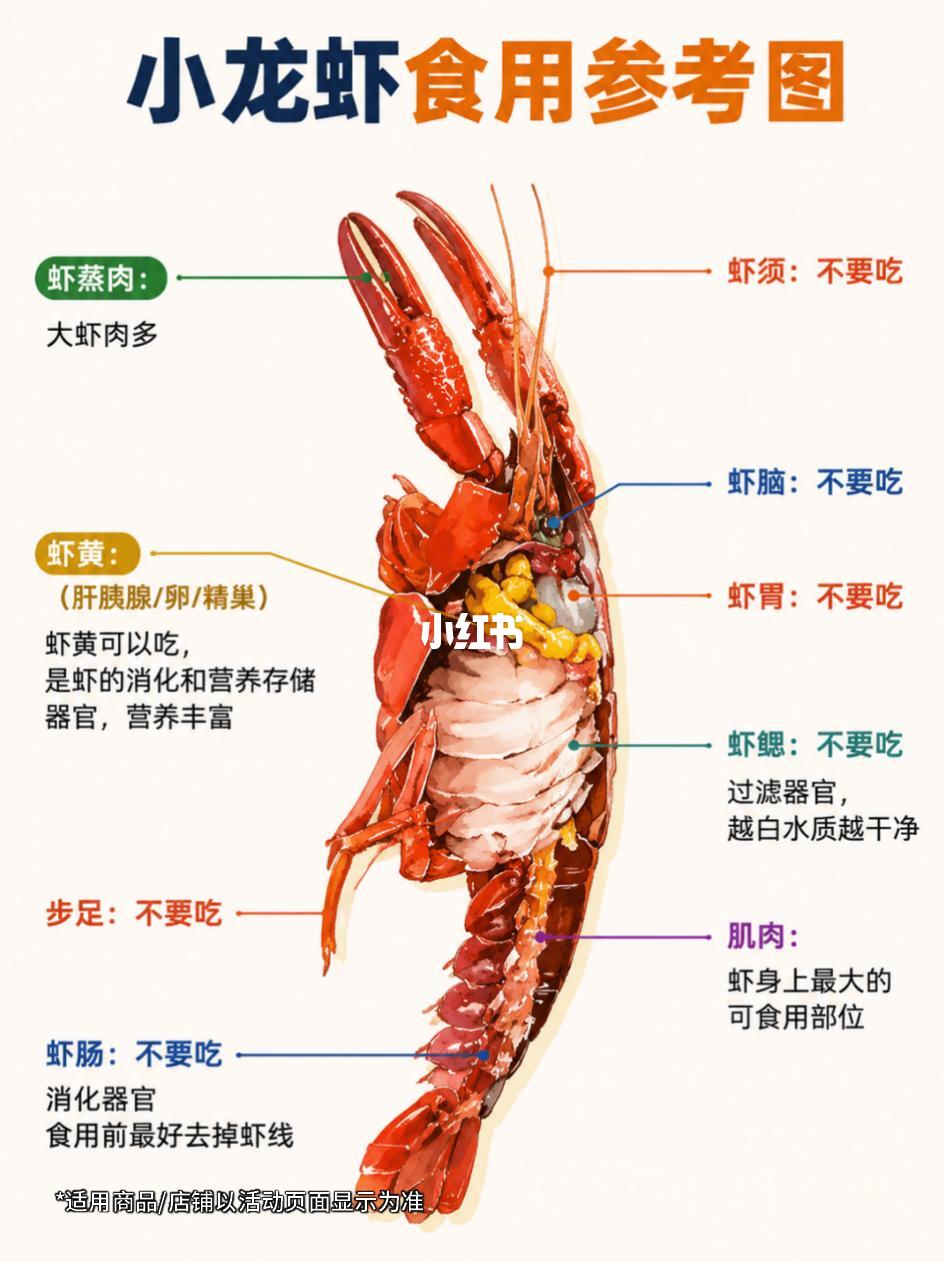深夜小龙虾：打工人的解压美食指南